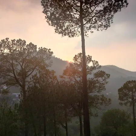 Pine Villa-3